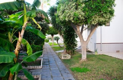 Reventa - Apartamento / piso - Torrevieia - Torrevieja