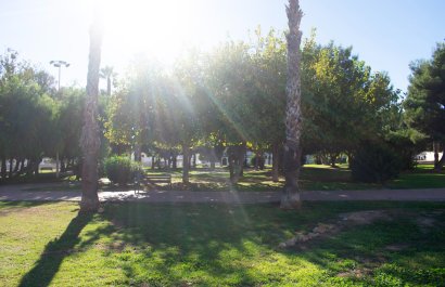 Reventa - Apartamento / piso - Torrevieia - Torrevieja