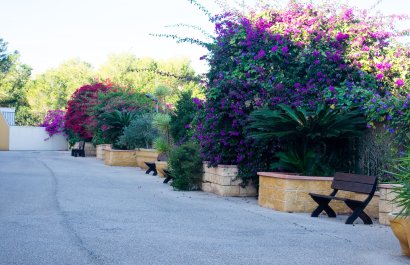 Reventa - Apartamento / piso - Orihuela - Orihuela Costa