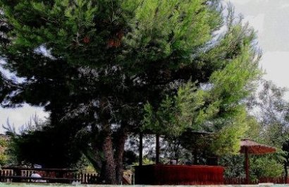 Resale - Villa - Gea Truyols - Gea y Trujols