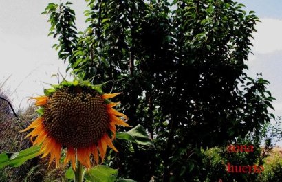 Resale - Villa - Gea Truyols - Gea y Trujols