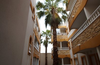 Reventa - Apartamento / piso - Formentera del Segura - Formentera De Segura