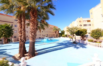 Reventa - Apartamento / piso - Torrevieja - San Luis