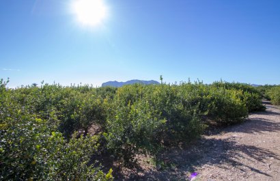 Reventa - Country House - Alicante