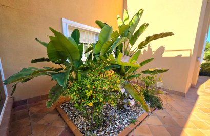 Reventa - Villa - Torrevieia - Cabo Cervera