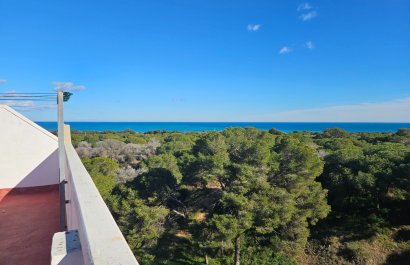 Reventa - Apartamento / piso - Guardamar del Segura