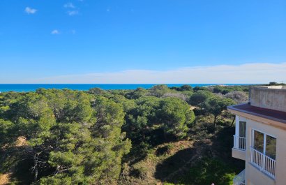 Reventa - Apartamento / piso - Guardamar del Segura