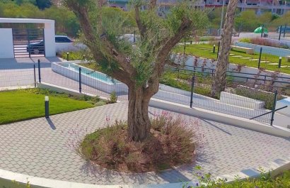 Reventa - Apartamento / piso - Orihuela - Costa Blanca