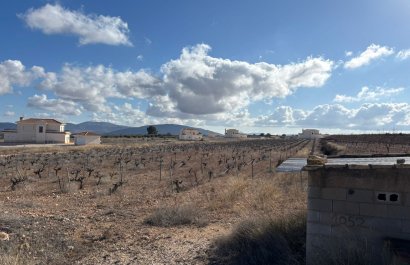 Resale - Plot / Land - Pinoso - el Pinós / Pinoso