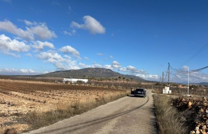 Resale - Plot / Land - Pinoso - el Pinós / Pinoso