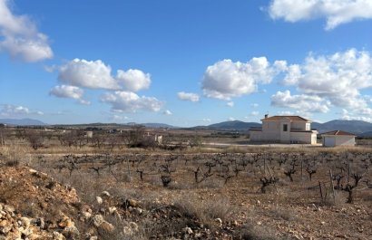 Resale - Plot / Land - Pinoso - el Pinós / Pinoso