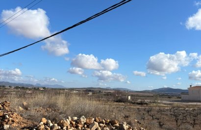 Resale - Plot / Land - Pinoso - el Pinós / Pinoso