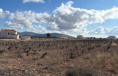 Resale - Plot / Land - Pinoso - el Pinós / Pinoso