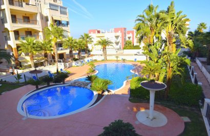 Reventa - Apartamento / piso - Guardamar del Segura