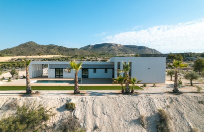 Nieuwbouw Woningen - Villa - Pinoso