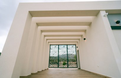 Nieuwbouw Woningen - Villa - Pinoso