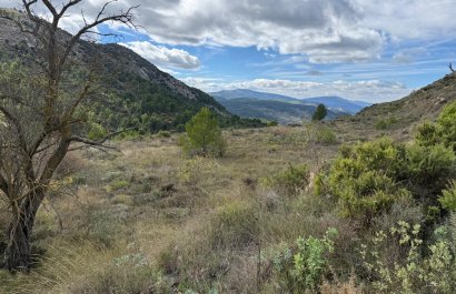 Resale - Plot / Land - Confrides - Barranc de Xarquera