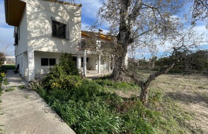 Resale - Villa - Benejúzar - Comunidad Valenciana
