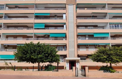 Resale - Apartment / flat - Torrevieia - Punta Prima
