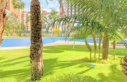 Reventa - Apartamento / piso - Benidorm - Rincon de Loix Llano