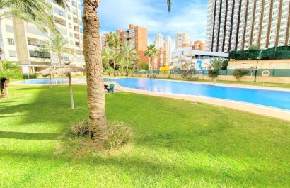 Reventa - Apartamento / piso - Benidorm - Rincon de Loix Llano