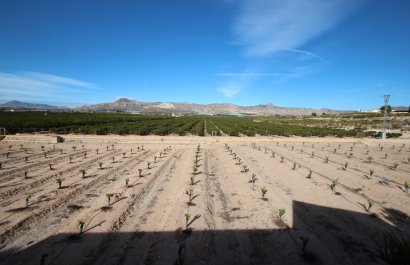 Resale - Country House - Murcia - Costa Blanca