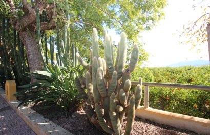 Resale - Country House - Murcia - Costa Blanca