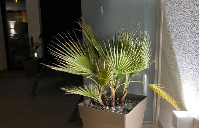 Resale - Townhouse / Duplex / Corner - San Pedro del Pinatar