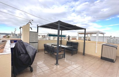 Resale - Apartment / flat - Torrevieia - San Luis