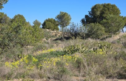 Reventa - Apartments - Flats - Orihuela Costa