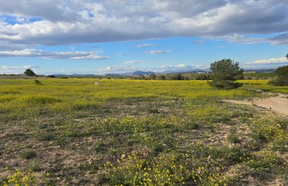 Reventa - Apartments - Flats - Orihuela Costa