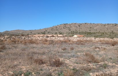 Resale - Plot / Land - Yecla