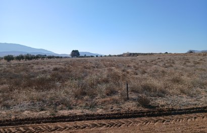Resale - Plot / Land - Yecla