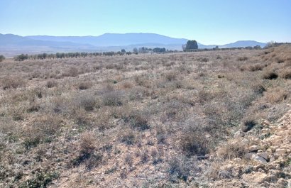 Resale - Plot / Land - Yecla