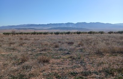 Resale - Plot / Land - Yecla