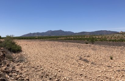 Herverkoop - Perceel / Grond - Pinoso - Lel