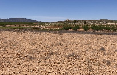 Herverkoop - Perceel / Grond - Pinoso - Lel