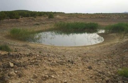 Herverkoop - Perceel / Grond - Yecla