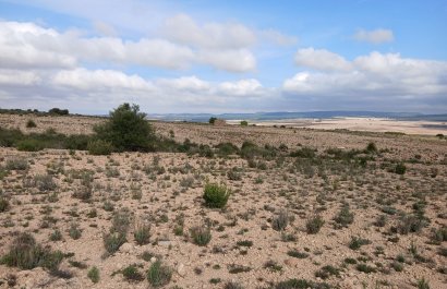 Herverkoop - Perceel / Grond - Yecla