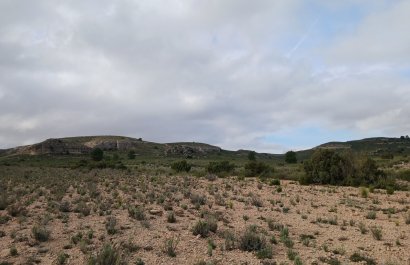 Herverkoop - Perceel / Grond - Yecla