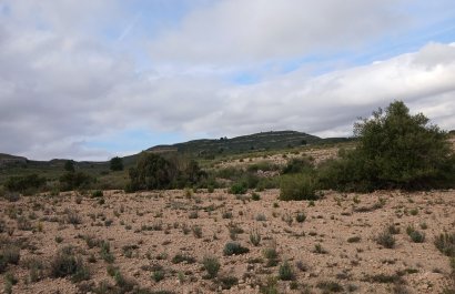 Herverkoop - Perceel / Grond - Yecla