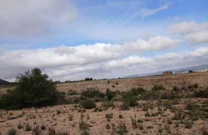 Herverkoop - Perceel / Grond - Yecla