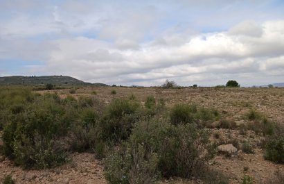 Herverkoop - Perceel / Grond - Yecla