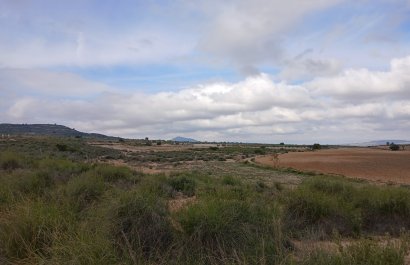Herverkoop - Perceel / Grond - Yecla