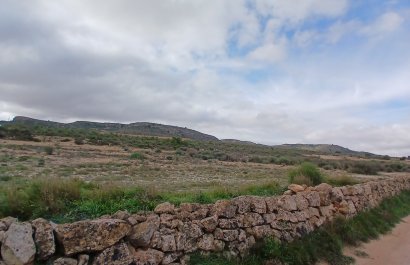 Herverkoop - Perceel / Grond - Yecla