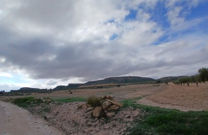 Herverkoop - Perceel / Grond - Yecla