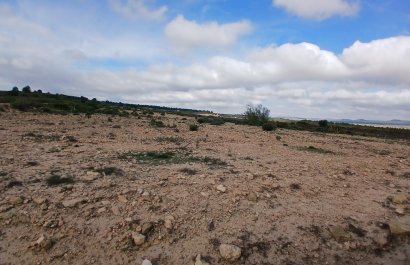 Herverkoop - Perceel / Grond - Yecla
