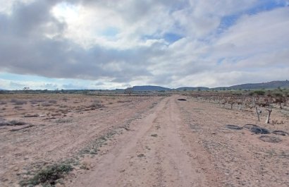 Herverkoop - Perceel / Grond - Yecla