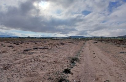 Herverkoop - Perceel / Grond - Yecla