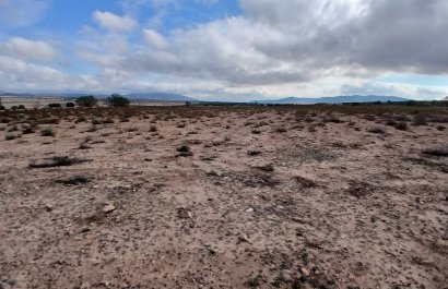 Herverkoop - Perceel / Grond - Yecla